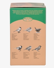 Bird Nesting Bottle Tits/sparrows, HD Png Download, Free Download