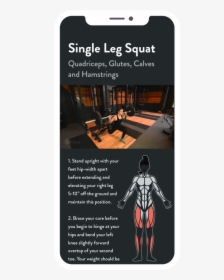 Single Leg Squat - Exercise, HD Png Download, Free Download