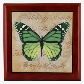 And Data-zoom="//cdn - Harry Palmer Avatar Butterfly, HD Png Download, Free Download
