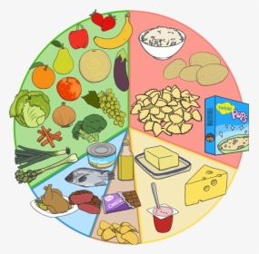 Food Clipart Eat - Well Balanced Diet Clipart, HD Png Download - kindpng