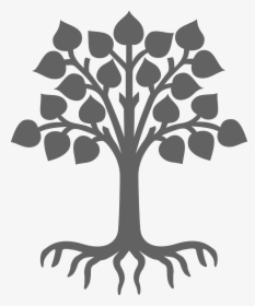 Tree With Roots And Leaves, HD Png Download, Free Download