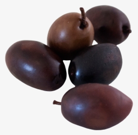 Bushfood, HD Png Download, Free Download