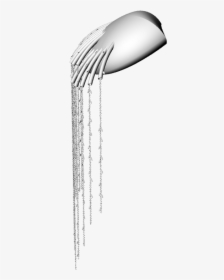 Weeping Willow Png, Transparent Png, Free Download