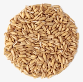 Small Pile Of Grain, HD Png Download, Free Download