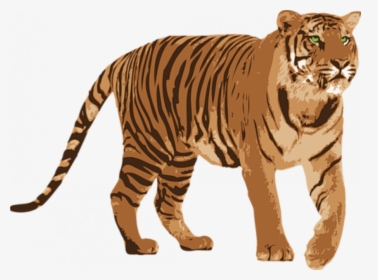 Standing Tiger Png - Tiger Png, Transparent Png, Free Download