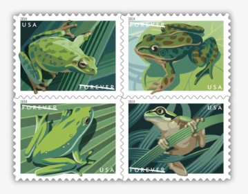 Usps Frog Stamps, HD Png Download, Free Download