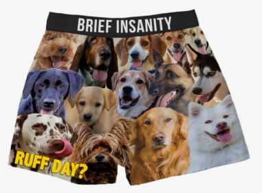 Ruff Day Dog Boxers - Dog Brief, HD Png Download, Free Download