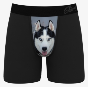 Men"s Husky Print Boxer Briefs - Dog Sledding Underpants, HD Png Download, Free Download