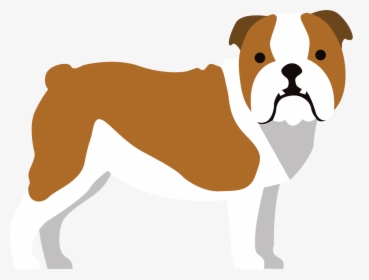Boxer, HD Png Download, Free Download