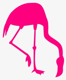 Clipart Flamingo Pink Png, Transparent Png, Free Download