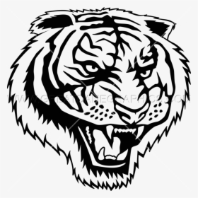Tigers Drawing Roar - Roaring Tiger Png Clipart, Transparent Png, Free Download