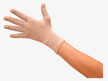 Seamless Full Finger Compression Gloves, HD Png Download, Free Download