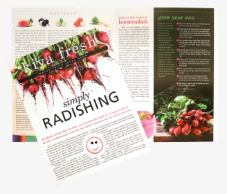Radishnewsletter - Natural Foods, HD Png Download, Free Download