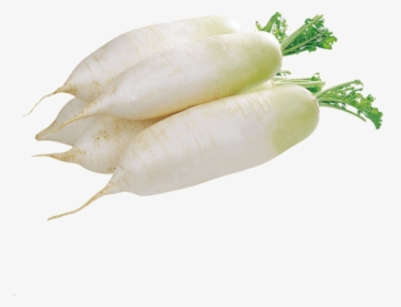 Daikon, HD Png Download, Free Download