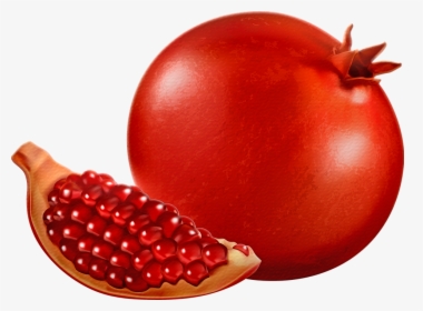 Clipart Images Of Pomegranate, HD Png Download, Free Download