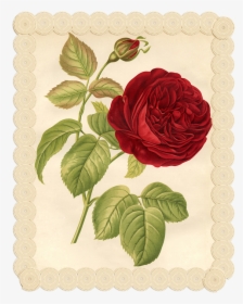Vintage Flower Vintage Printable, HD Png Download, Free Download