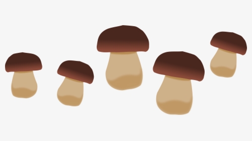 Mushrooms Vector Sliced Mushroom - Mushrooms Clipart, HD Png Download, Free Download