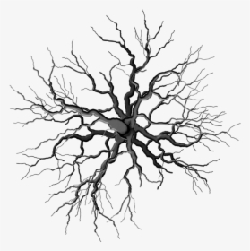 Collection Of Free Roots Drawing Dead Tree Download - Tree Top Png Black, Transparent Png, Free Download