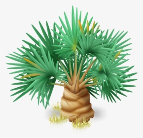 Hay Day Wiki - Sabal Palmetto, HD Png Download, Free Download