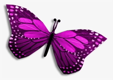 Purple Clipart Editing Picsart Butterfly Pretty Clipart - Clip Art, HD Png Download, Free Download