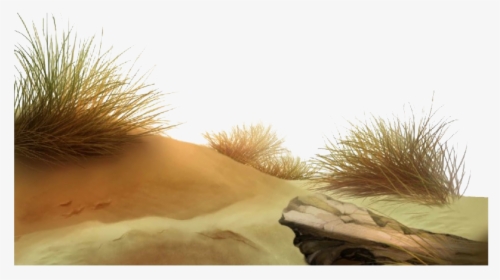 Beach Grass Png Picture - Beach Dunes Png, Transparent Png, Free Download