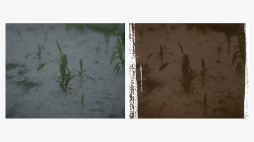 Ghost Forests14, HD Png Download, Free Download