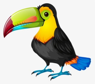 Parrot Clipart Bird Hawaiian - Toucan Cartoon Png, Transparent Png, Free Download