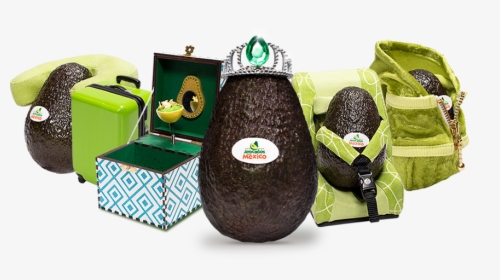 Avocado, HD Png Download, Free Download