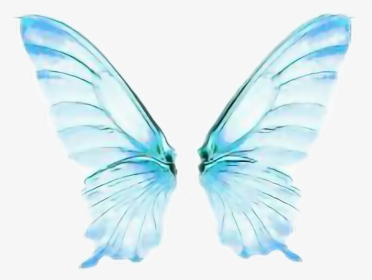 #burterfly #borboletas #borboleta #animal #asa #asas - Lycaenid, HD Png Download, Free Download