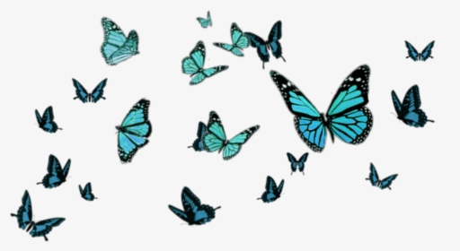 #blue #borboletas - Butterfly Png For Editing, Transparent Png, Free Download