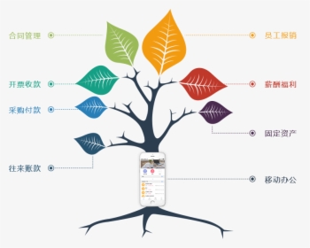 Tree Graph Chart, HD Png Download, Free Download
