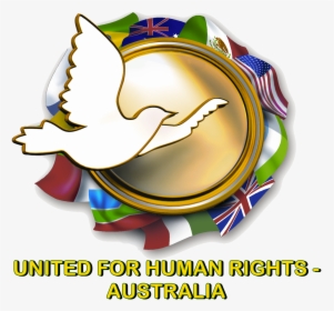 United For Human Rights, HD Png Download, Free Download