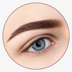 Cejas - Brow Lamination, HD Png Download, Free Download