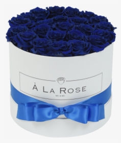 Royal Blue Roses In A Box"  Class="lazyload Lazyload - Blue Rose, HD Png Download, Free Download