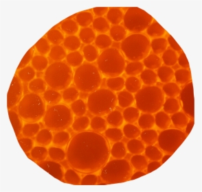 Transparent Beehive Pattern Png - Circle, Png Download, Free Download