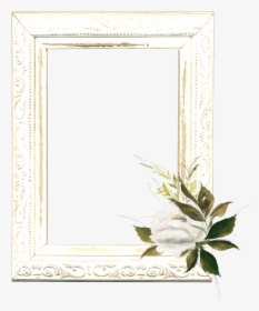 #mq #white #roses #frame #frames #border #borders - Jasmine, HD Png Download, Free Download