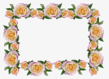Frame Border Peace Rose Decorative Peace Rose Border - Decorative Rose Border Design, HD Png Download, Free Download