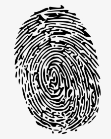 Huella Digital Blanca Y Negra - Fingerprint Transparent Background, HD Png Download, Free Download