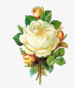 Vintage Rose Png - Hd Flower Vintage Png, Transparent Png, Free Download