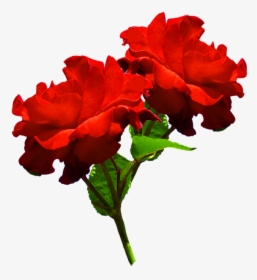 Clipart Of Two Red Roses - Two Red Roses Png, Transparent Png, Free Download
