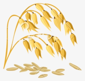 Wheat Grain Vector - Getreide Sorten, HD Png Download, Free Download