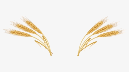 Wheat Ear Royalty - Transparent Ear Of Wheat, HD Png Download, Free Download