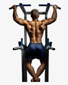 Bodybuilding, HD Png Download, Free Download