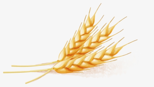 Wheat Vector - Png Wheat Vector, Transparent Png, Free Download