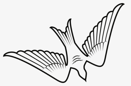 Rock Dove Columbidae Bird Beak Silhouette - Dibujo Vector Paloma Blanca Png, Transparent Png, Free Download