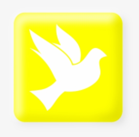 Transparent Pomba Png - Simbolos Da Quadrangular Separados, Png Download, Free Download