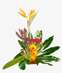 Flower Bouquet, Gerbera, Bird Of Paradise - Paradise Flowers Png, Transparent Png, Free Download
