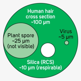 Human Hair Cross Section Versus Silica Particle - Blue Peace Sign, HD Png Download, Free Download