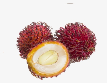 Transparent Lychee Png - Fruit, Png Download, Free Download