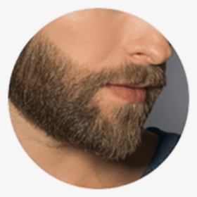 Modern Beard Styles For Guys, HD Png Download - kindpng